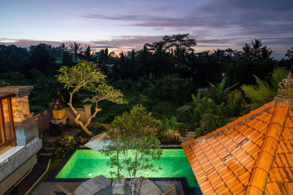 Beautiful 3 Bedroom Jungle View Ubud Exterior foto
