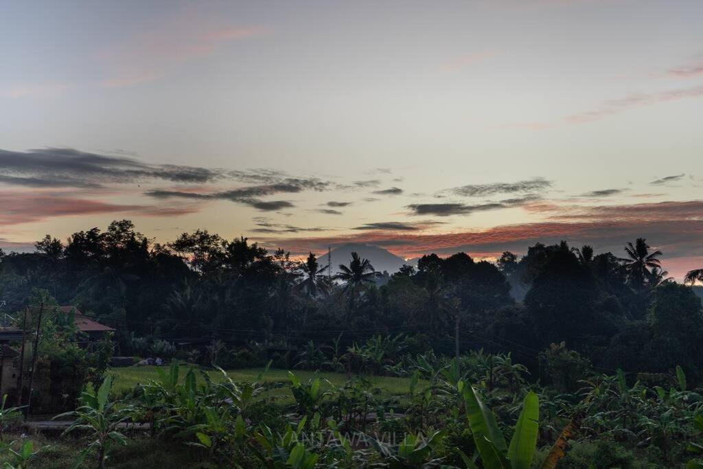 Beautiful 3 Bedroom Jungle View Ubud Exterior foto