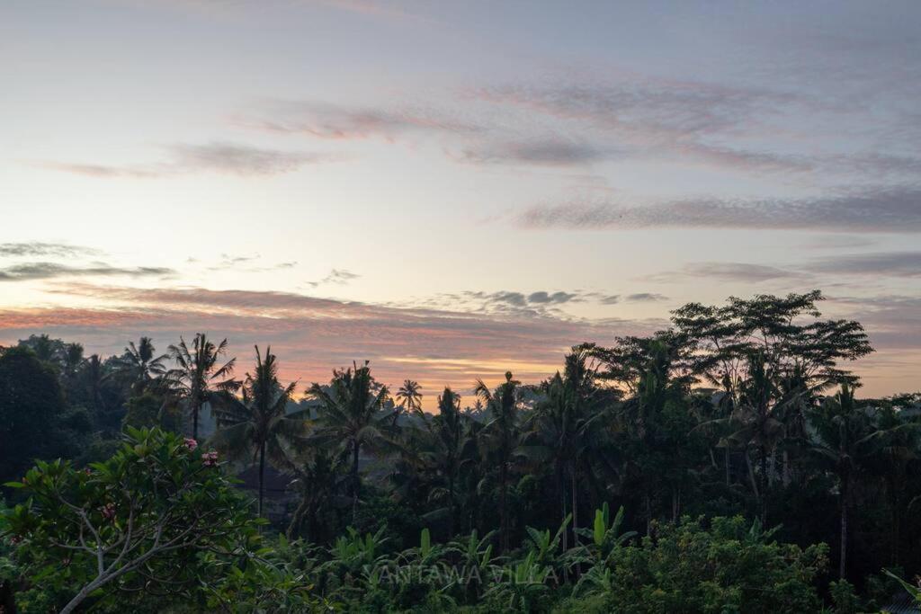 Beautiful 3 Bedroom Jungle View Ubud Exterior foto
